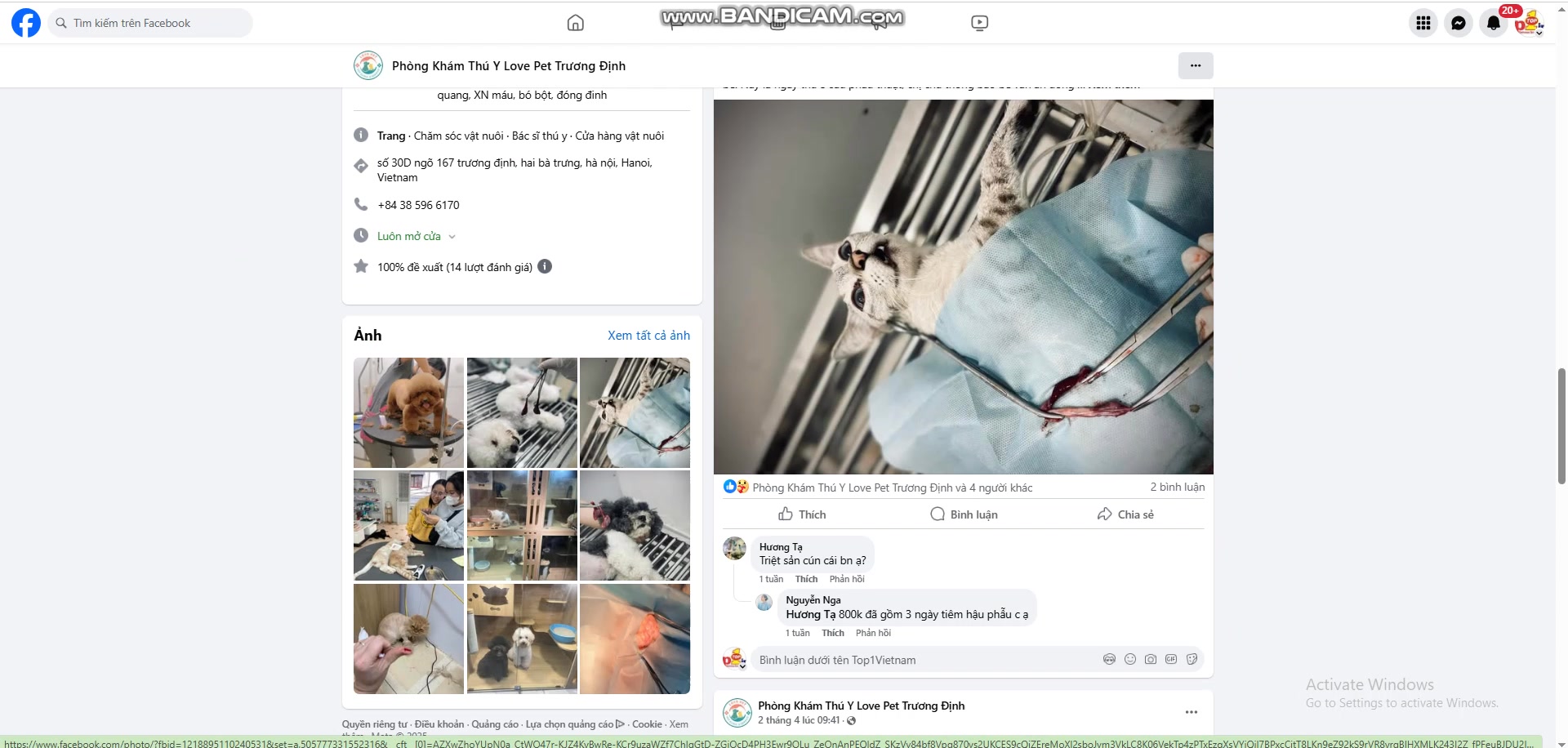 Nhật Thực  (Thực Tuti) – NHAT THUC Designer –  HAPPY Academy – Nhật Thực Studio – [🆕Top1Vietnam🇻🇳] [🆕🇻🇳] Top1Vietnam ♥️️