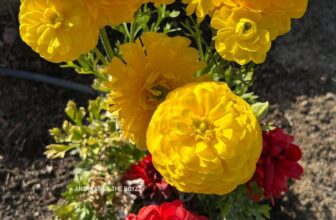 [🆕🇻🇳] Quỳnh Anh – Trọn Gói Đi Sinh – Shop chuyên cung cấp trọn gói đồ sơ sinh 🧑‍🧒❤️️👶⭐️ 𝑿𝙞̣𝒕 𝒅𝙞𝒆̣̂𝙩 𝙠𝒉𝙪𝒂̂̉𝙣 #𝘽𝑨𝘽𝒀_𝑭𝙍𝑬𝙎𝑯 𝒌𝙤 𝙩𝒉𝙚̂̉ 𝙩𝒉𝙞𝒆̂́𝙪𝙉𝒉𝙖̂́𝒕 𝒍𝙖̀ 𝙘𝒂́𝙘 𝙚𝒎 𝒃𝙚́ 𝙨𝒐̛ 𝒔.𝒊𝙣𝒉 𝒏𝙚̀
𝐃𝐢̣𝐜𝐡 𝐜𝐮́𝐦 𝐜𝐨̣̂𝐧𝐠 𝐯𝐨̛́𝐢 𝐝𝐢̣𝐜𝐡 𝐭𝐚𝐲 𝐜𝐡𝐚̂𝐧 𝐦𝐢𝐞̣̂𝐧𝐠 đ𝐚𝐧𝐠 𝐩𝐡𝐚́𝐭 𝐭𝐡𝐢̀ 𝐧𝐡𝐚̂́ , shares-0✔️ , likes-0❤️️ , date-2025-04-11 13:00:00🇻🇳🇻🇳🇻🇳📰🆕