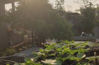 [🆕🇻🇳] ABC KID – Chuyên sỉ lẻ hàng thiết kế quần áo trẻ em 👕 Top1Fashion 👗  Quần lẻ size 60k/1c ship từ 2c
Mỗi cái chỉ còn 1 size
Cho các bé từ 45-55kg mặc vừa
, shares-0✔️ , likes-2❤️️ , date-2025-04-15 18:34:32🇻🇳🇻🇳🇻🇳📰🆕