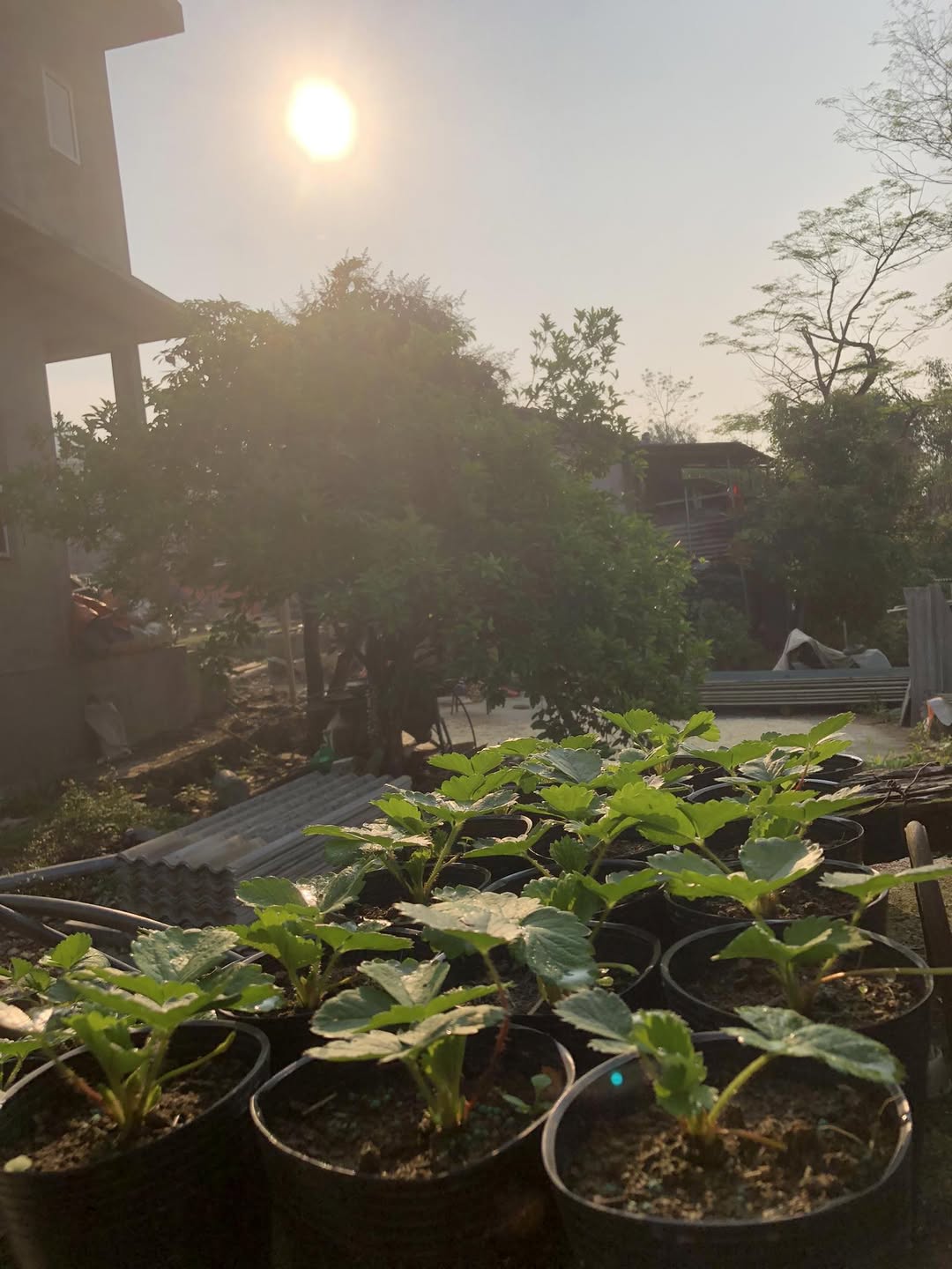 [🆕🇻🇳] ABC KID – Chuyên sỉ lẻ hàng thiết kế quần áo trẻ em 👕 Top1Fashion 👗  Quần lẻ size 60k/1c ship từ 2c
Mỗi cái chỉ còn 1 size
Cho các bé từ 45-55kg mặc vừa
, shares-0✔️ , likes-2❤️️ , date-2025-04-15 18:34:32🇻🇳🇻🇳🇻🇳📰🆕