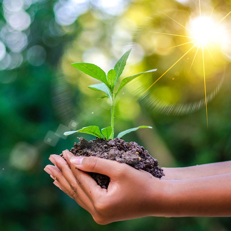 [🆕🇻🇳] Thảo Lâm Baby Shop – Cửa hàng quần áo sơ sinh – trẻ em 🧑‍🧒❤️️👶⭐️ Mã áo cotton này mix chân váy hay quần sooc đều xinh lắm ạ.Seo về tay chỉ tiền chục nghìn . Em mời các mẹ lên đơn ạ.𝗧𝗨𝗬𝗘̂̉𝗡 𝗦𝗜̉ & 𝗖𝗢̣̂𝗡𝗚 𝗧𝗔́𝗖 𝗩 , shares-0✔️ , likes-1❤️️ , date-2025-04-08 23:30:13🇻🇳🇻🇳🇻🇳📰🆕