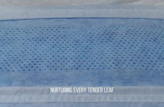 [🆕🇻🇳] Unijoy Việt Nam – Thương hiệu Tã Bỉm số 1 tại Mỹ 🧑‍🧒❤️️👶⭐️ Bắt rễ nhẹ nhàng trong thiên nhiên, mạnh dạn hướng dẫn bởi sự chăm sóc.
Trong mỗi làn gió nhẹ nhàng và lá cây xôn xao, chúng ta tìm thấy nguồn cảm hứng – m , shares-0✔️ , likes-6❤️️ , date-2025-04-25 02:55:31🇻🇳🇻🇳🇻🇳📰🆕