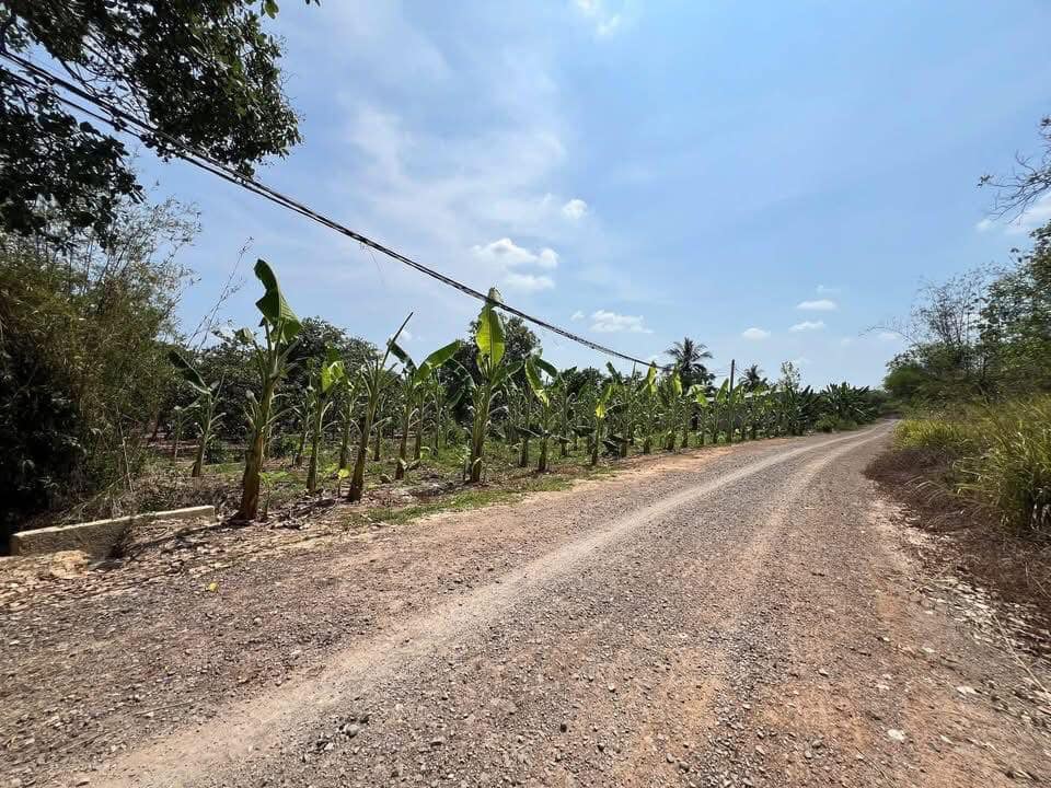 [🆕🇻🇳] Shop TOM BABY  Chuyên Bỉm,Thời trang cho bé,các loại Bánh kẹo, Kem, Thực phâm dinh dưỡng 🧑‍🧒❤️️👶⭐️ MỘT DÒNG SỮA HOÀNG GIA ÚC
Nghe là cao cấp quá rồi khách hỉ
BÁN BNH NĂM VẪN KO NGỪNG HOT
– Được làm từ sữa tươi tinh khiết tại Úc, đảm bảo nguồn dinh dưỡng  , shares-1✔️ , likes-0❤️️ , date-2025-04-26 00:00:15🇻🇳🇻🇳🇻🇳📰🆕