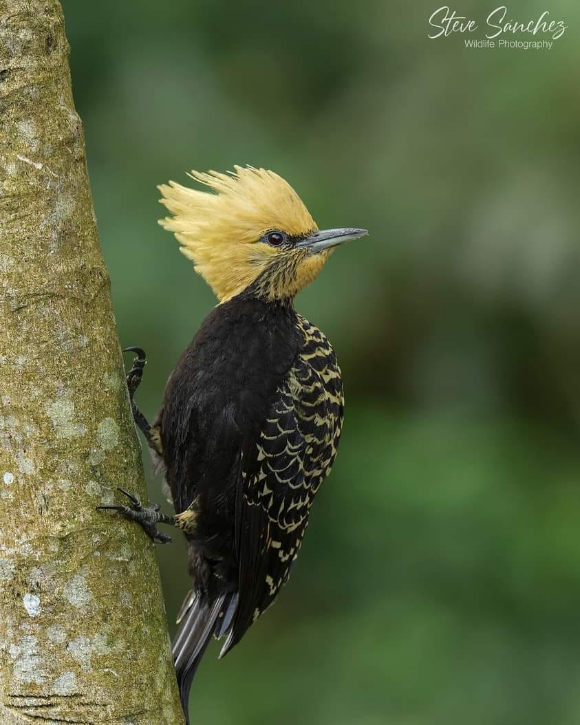[🆕🇻🇳] Unijoy Việt Nam – Thương hiệu Tã Bỉm số 1 tại Mỹ 🧑‍🧒❤️️👶⭐️ Bắt rễ nhẹ nhàng trong thiên nhiên, mạnh dạn hướng dẫn bởi sự chăm sóc.
Trong mỗi làn gió nhẹ nhàng và lá cây xôn xao, chúng ta tìm thấy nguồn cảm hứng – m , shares-0✔️ , likes-6❤️️ , date-2025-04-25 02:55:31🇻🇳🇻🇳🇻🇳📰🆕