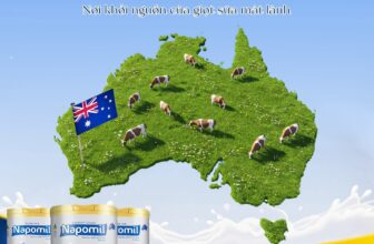 [🆕🇻🇳] Thế Giới Sữa Thịnh Quỳnh – Đông Hưng – Thái Bình 🧑‍🧒❤️️👶⭐️ Em bé Vàng đầu tiên săn được combo đặc biệt từ nhà NAPOMIL
______________
Ba mẹ gửi niềm tin – TGS Thịnh Quỳnh trao uy tín chất lượng
, shares-0✔️ , likes-0❤️️ , date-2025-05-05 20:06:17🇻🇳🇻🇳🇻🇳📰🆕