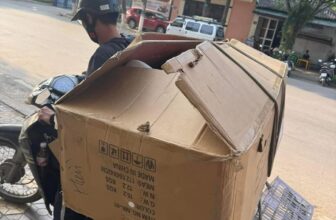 [🆕🇻🇳] Shop Như Ý – Mẹ và Bé Thế giới ăn dặm, thời trang cho Bé yêu 🧑‍🧒❤️️👶⭐️ thêm 1 xe ô tô điện quà sữa dê babybio về với khách
shop còn duy nhất 1 xuất các mẹ đừng bỏ lỡ deal này
, shares-0✔️ , likes-2❤️️ , date-2025-05-05 23:08:35🇻🇳🇻🇳🇻🇳📰🆕