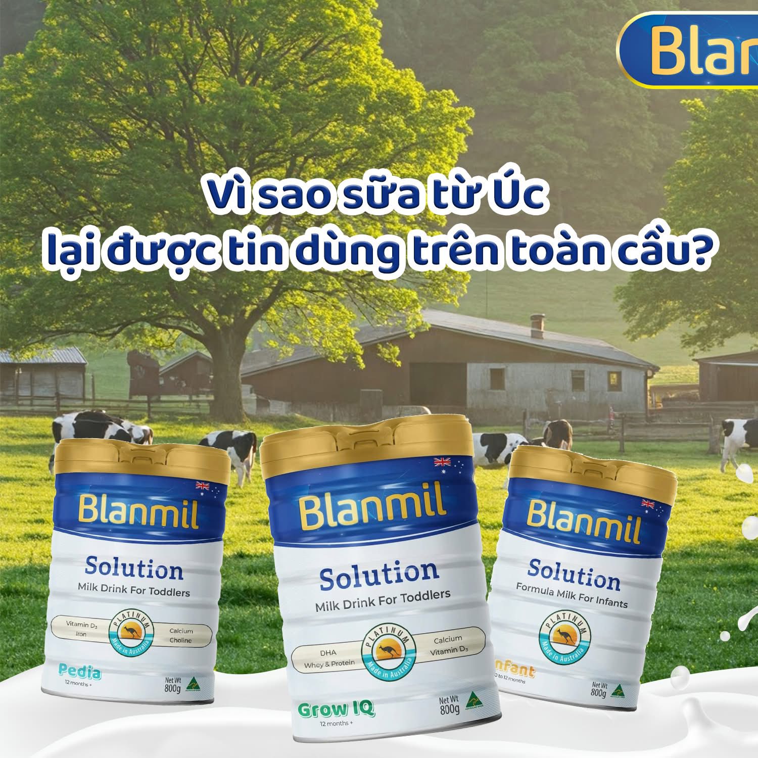 [🆕🇻🇳] Thế Giới Sữa Thịnh Quỳnh – Đông Hưng – Thái Bình 🧑‍🧒❤️️👶⭐️  Nuôi con khỏe mạnh không khó – chỉ cần mẹ chọn đúng sữa!Từ khi làm mẹ, điều mình quan tâm nhất là: bé có ăn đủ, ngủ đủ, hấp thu tốt hay không. Sau khi t , shares-0✔️ , likes-0❤️️ , date-2025-05-13 23:46:52🇻🇳🇻🇳🇻🇳📰🆕