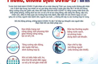 [🆕🇻🇳]  Tuyên Thuỳ Hải Phòng Shop Quần Áo Trẻ Em-Đồ Sơ Sinh-Giày Dép-Bỉm 🧑‍🧒❤️️👶⭐️ Đấy chị em nhanh tay khi còn rẻ #25k thùng 100c
, shares-0✔️ , likes-0❤️️ , date-2025-05-16 22:22:25🇻🇳🇻🇳🇻🇳📰🆕