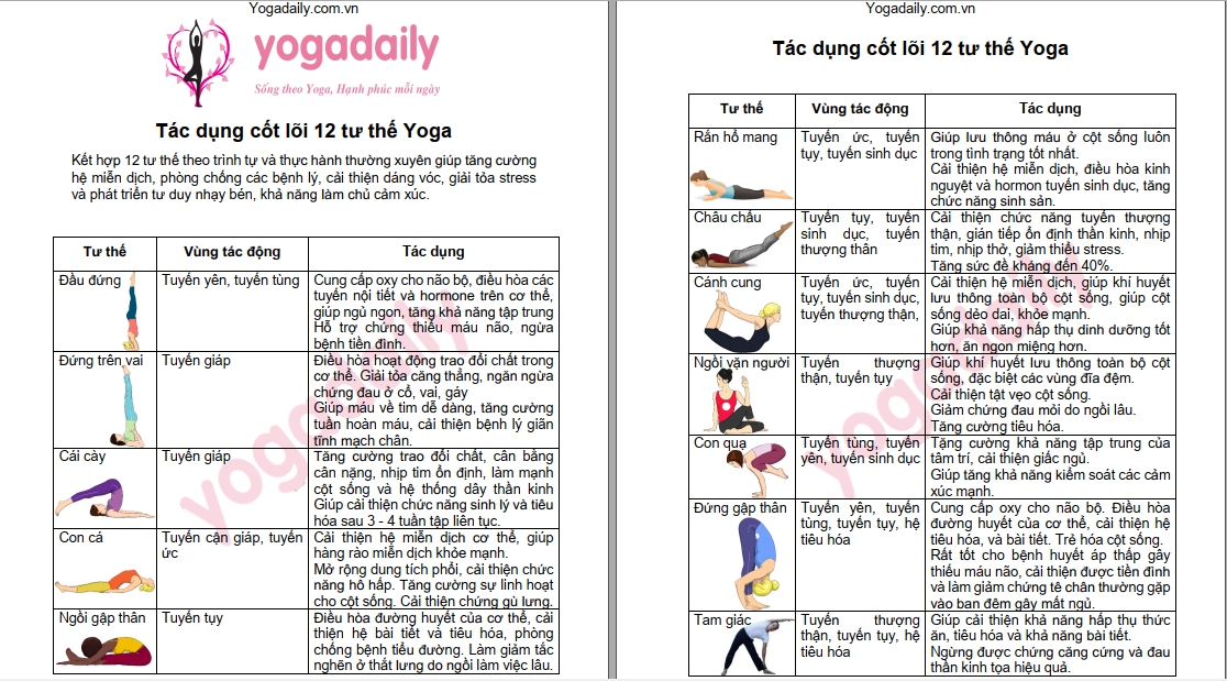 12 tư thế yoga cơ bản