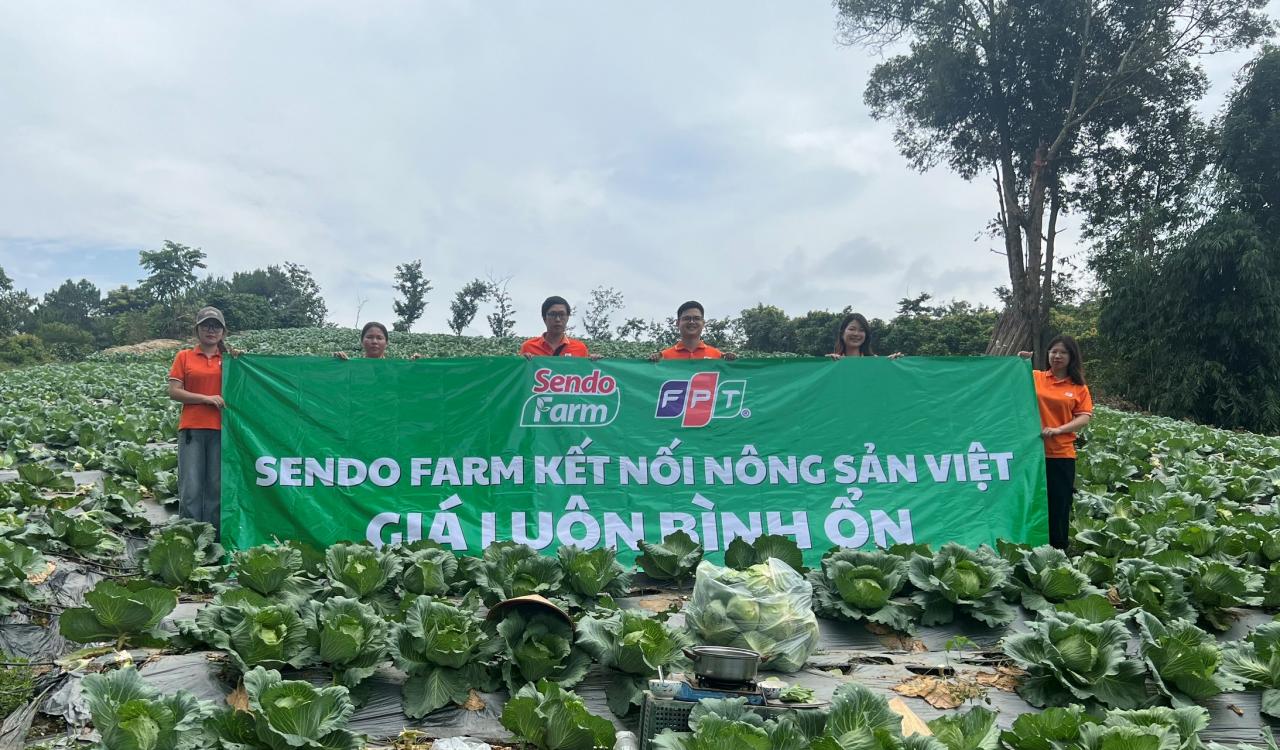 [🛒🇻🇳]Sendo Farm livestream kết nối tiêu thụ 5 tấn bắp cải – , SKU – – sendo.vn 🇻🇳🛒Top1Shop🛒 🇻🇳Top1Vietnam🇻🇳 🛍🛒🇻🇳