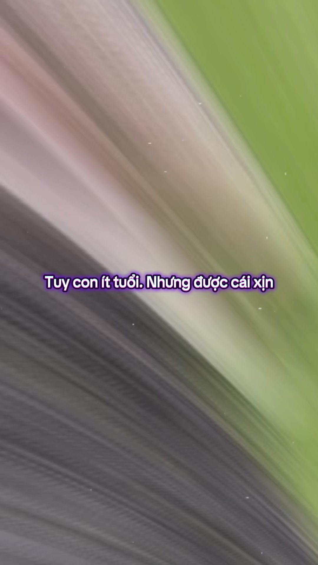 [🆕🇻🇳] ͏kimbap doo – Quần áo, phụ kiện, trang phục truyền thống cho bé ba mẹ tìm ở đây nhé! 🧑‍🧒❤️️👶⭐️ Bà ngoại nhà ai đây ạ #bodobanoichobe #bodobagiachobe #bodobangoaichobe , shares-0✔️ , likes-0❤️️ , date-2025-06-15 02:24:32🇻🇳🇻🇳🇻🇳📰🆕