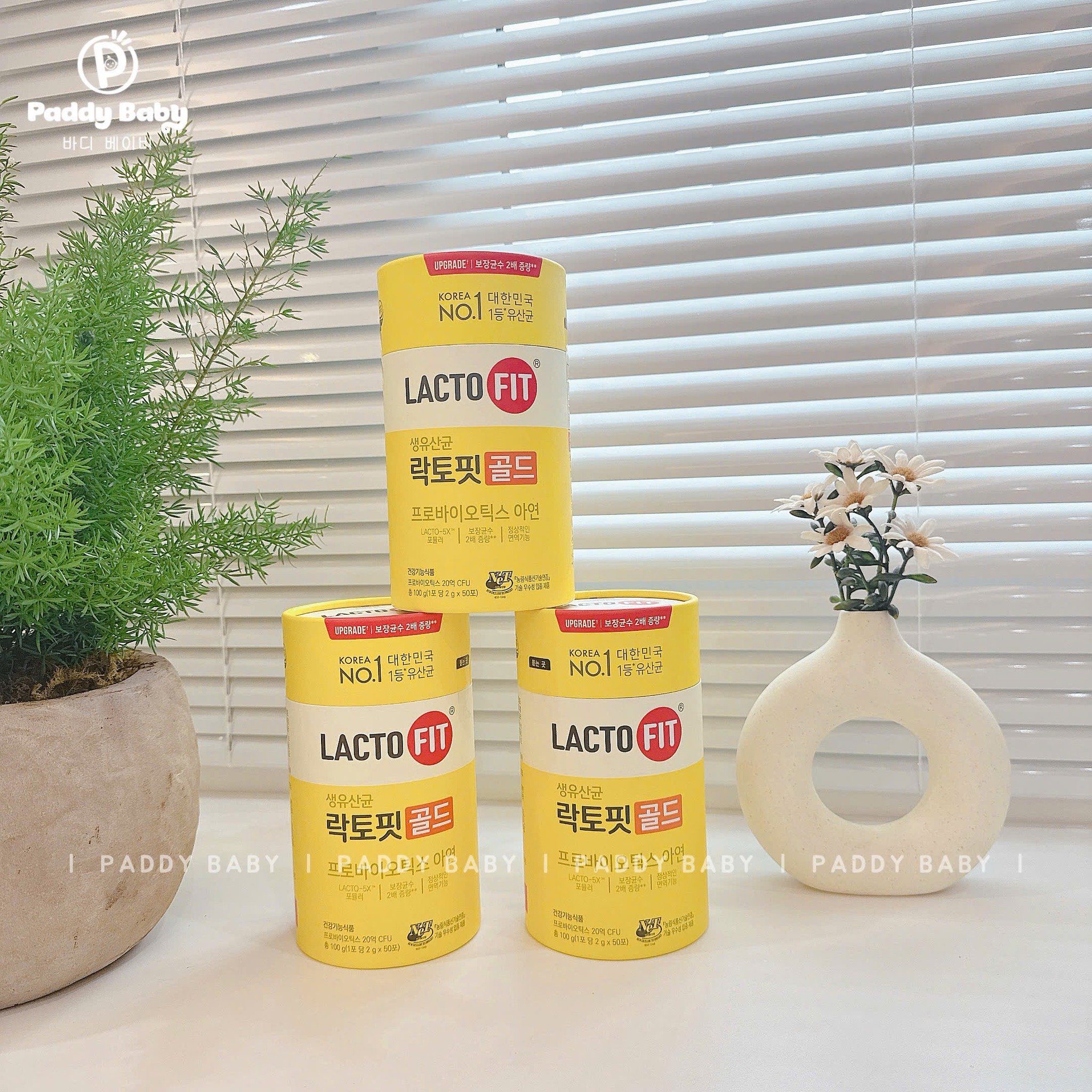 [🆕🇻🇳] Paddy Baby – Mẹ và Bé nội địa Hàn 🧑‍🧒❤️️👶⭐️ 𝐌𝐞𝐧 𝐭𝐢𝐞̂𝐮 𝐡𝐨𝐚́ 𝐋𝐀𝐂𝐓𝐎-𝐅𝐈𝐓 𝐆𝐎𝐋𝐃 – 𝐃𝐚̣ 𝐝𝐚̀𝐲 𝐤𝐡𝐨𝐞̉, 𝐜𝐚̉ 𝐧𝐡𝐚̀ 𝐚̆𝐧 𝐧𝐠𝐨𝐧!Mẫu mới hộp vàng – Dùng được cho cả gia đình từ bé 12 tháng đến người lớn tuổi
Top 1  , shares-0✔️ , likes-0❤️️ , date-2025-06-20 00:00:40🇻🇳🇻🇳🇻🇳📰🆕