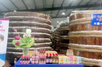 [🆕🇻🇳]  Bé Bụ Bẫm  (Hiểu mẹ Yêu con) 🧑‍🧒❤️️👶⭐️ Phát trực tiếp của Mai Minh Bđs HP , shares-0✔️ , likes-0❤️️ , date-2025-06-20 02:00:21🇻🇳🇻🇳🇻🇳📰🆕