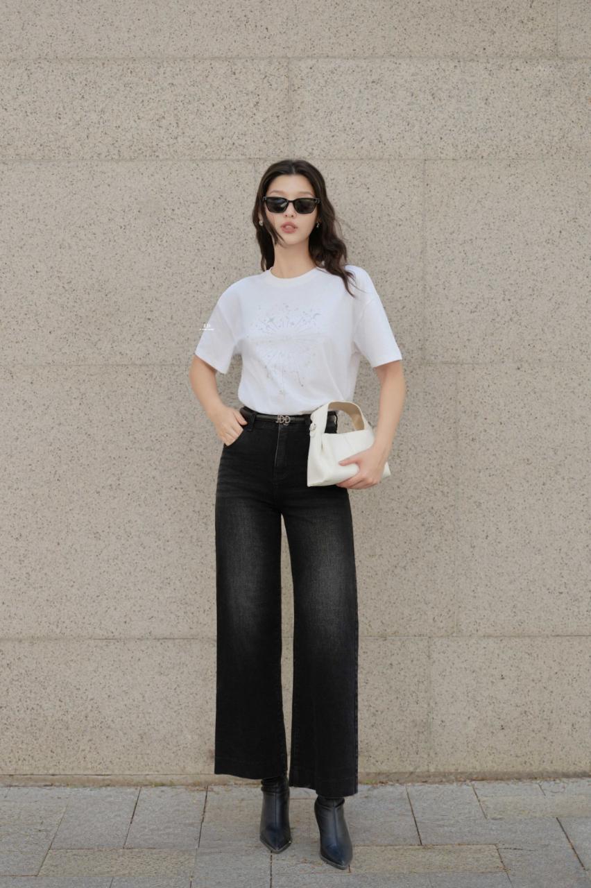 THẬP KỶ THANH LỊCH COLLECTION