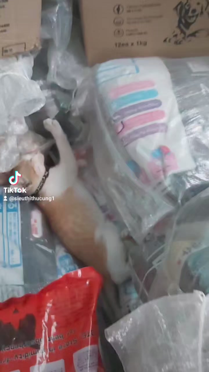 [🆕🇻🇳] An’s Mommy – Baby Clothing 🧑‍🧒❤️️👶⭐️ Set mặc bỉm bé gái ạ#ansmommy , shares-0✔️ , likes-0❤️️ , date-2024-06-19 19:38:59🇻🇳🇻🇳🇻🇳📰🆕