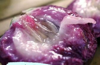 [🆕🇻🇳] Vic Kid’s chuyên cung cấp hàng QCCC cho bé,cam kết chuẩn 🧑‍🧒❤️️👶⭐️ TOP 8 LOẠI TRÁI CÂY BÀ ĐẺ ĂN VÀO, SỮA VỀ TRÀN TRỀ, CON THỎA THUÊ BÚ NO CĂNG, KHỎE ĐƯỜNG RUỘT CHO CẢ 2 MẸ CON
Bố lưu lại để khi nào mẹ sinh xong nhớ mua ch , shares-1✔️ , likes-2❤️️ , date-2021-10-16 07:58:57🇻🇳🇻🇳🇻🇳📰🆕