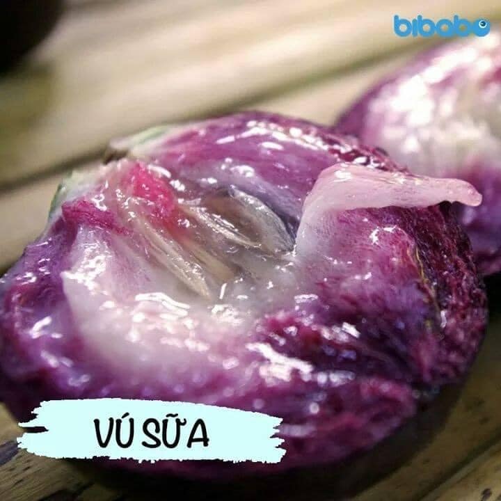 [🆕🇻🇳] Tổng buôn đồ bộ trẻ em số lượng hàng đẹp giá rẻ – Quảng Châu 👕 Top1Fashion 👗  SET THIẾT KẾ
𝐒𝐢𝐳𝐞: 2-8 (10-24kg)
𝐒𝐢𝐳𝐞: 9-13 (25-35kg)
, shares-1✔️ , likes-2❤️️ , date-2020-03-16 16:33:00🇻🇳🇻🇳🇻🇳📰🆕