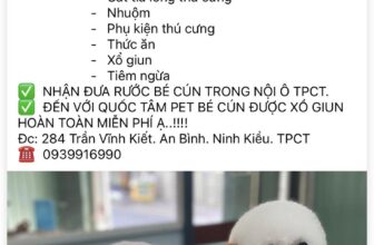 [🆕🇻🇳] QUỐC TÂM PET – Dịch vụ thú cưng 🐶🦜 Top1Pets 🐱🐠 Bình luận đã bị tắt cho bài viết này.
, shares-0✔️ , likes-0❤️️ , date-2024-08-13 15:35:49🐶🐱🇻🇳🇻🇳🇻🇳📰🆕