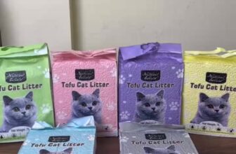 [🆕🇻🇳] Tổng Kho Sỉ Cát Vệ Sinh Qbest Cat và Natural Would 🐶🦜 Top1Pets 🐱🐠 Cát vệ sinh đậu nành Natural World là lựa chọn tuyệt vời cho những bé mèo yêu nhà bạn!
An toàn và thân thiện: Được làm từ đậu nành tự nhiên, Natural World , shares-0✔️ , likes-0❤️️ , date-2025-02-25 23:44:05🐶🐱🇻🇳🇻🇳🇻🇳📰🆕