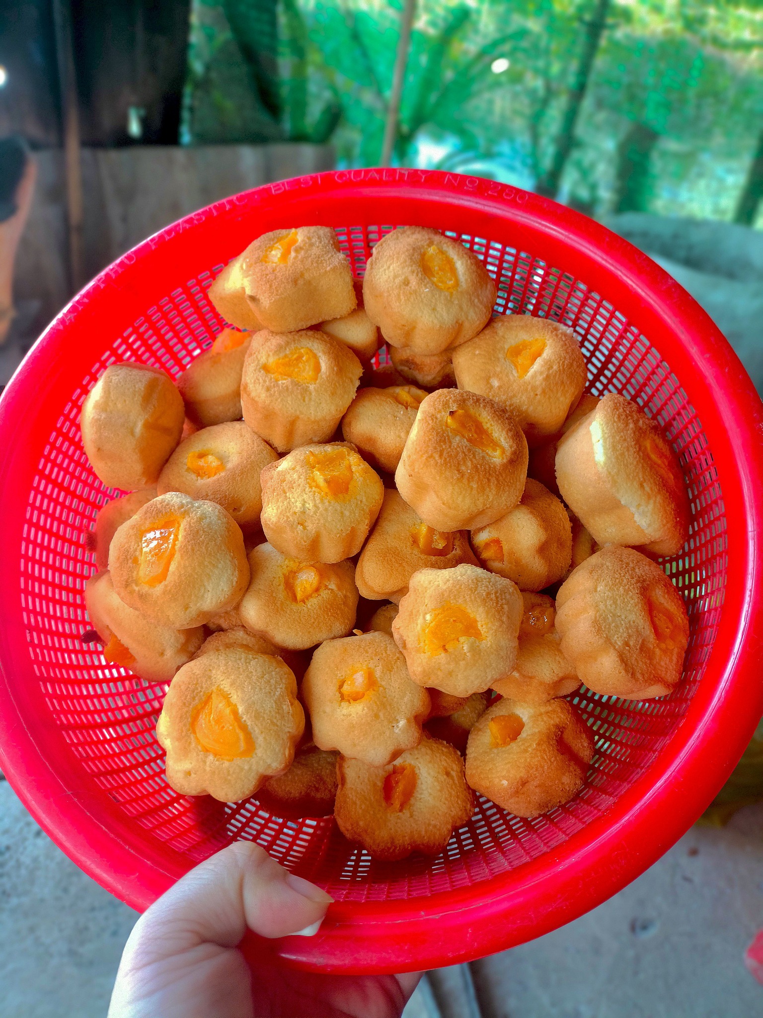 [🆕🇻🇳] Linh Sam Boutique 👕 Top1Fashion 👗  Đẹp cỡ này mấy bà cỡ nào
, shares-0✔️ , likes-0❤️️ , date-2025-03-28 00:02:14🇻🇳🇻🇳🇻🇳📰🆕