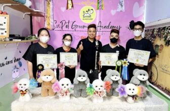 [🆕🇻🇳] Su PetShop – Đào Tạo Học Viên Cắt Tỉa Thú Cưng 🐶🦜 Top1Pets 🐱🐠 TUYỂN SINH KHÓA ĐÀO TẠO SPA & GROOMING CHO THÚ CƯNG
Bạn yêu thích thú cưng và muốn tìm 1 công việc ỔN ĐỊNH, LƯƠNG CAO , nhưng chưa biết học ở đâu UY TÍN
, shares-2✔️ , likes-143❤️️ , date-2024-09-24 04:33:18🐶🐱🇻🇳🇻🇳🇻🇳📰🆕