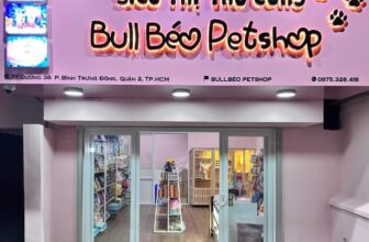 [🆕🇻🇳] BULL BÉO Petshop  🐶🦜 Top1Pets 🐱🐠 Mở cửa : 10h sáng – 20h tối
( Khách cần mua hàng gấp ALO trực tiếp nhé ạ !! )
————————————————
BULL BÉO PETSHOP :
Số 37 Đ , shares-0✔️ , likes-11❤️️ , date-2024-04-18 14:02:56🐶🐱🇻🇳🇻🇳🇻🇳📰🆕