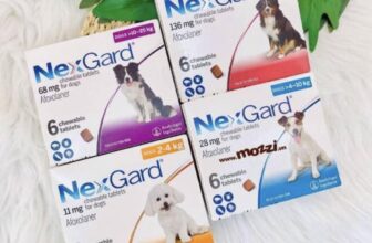 [🆕🇻🇳] Thú cưng xanh Nga Dương 🐶🦜 Top1Pets 🐱🐠 – Thời tiết dở thật, cứ nồm ẩm ướt , các bác nuôi cún đặt ngay 1 viên nexgard vừa phòng và trị ghẻ nấm, viêm da , ve rận ạ,
– Hiệu quả 100/ ạ
, shares-0✔️ , likes-9❤️️ , date-2025-02-20 20:49:51🐶🐱🇻🇳🇻🇳🇻🇳📰🆕