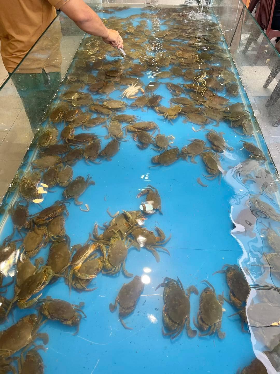 [🆕🇻🇳] Buffet Hải Sản Hoàng Gia 219k 🍔 Top1Food  🍜 Cuối tuần rồi nè đi ăn thui ạ 
Giá vé không thay đổi ăn cua thả ga 270k/1ng ngày cuối tuần thôi ạ 

Hình ảnh chân thật không thêm bớt đầy đủ các món như ản , shares-1✔️ , likes-15❤️️ , date-2024-08-17 17:53:58🇻🇳🇻🇳🇻🇳📰🆕