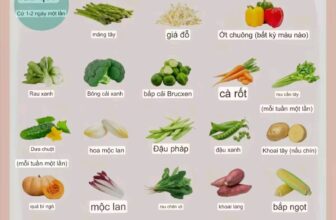 [🆕🇻🇳] Chuột hamster ninh bình  🐶🦜 Top1Pets 🐱🐠 Một số rau củ hamster có thể ăn được
, shares-0✔️ , likes-1❤️️ , date-2025-03-30 16:13:41🐶🐱🇻🇳🇻🇳🇻🇳📰🆕