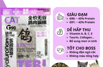 [🆕🇻🇳] Chú Mèo Béo – Pet Store 🐶🦜 Top1Pets 🐱🐠 ￼𝐇Ạ𝐓 𝐓𝐄𝐁! 𝐆
ℍạ𝕥 𝕋𝕖𝕓 𝔾 𝕔𝕙𝕠 𝕞è𝕠 𝕔𝕙ư𝕒 𝟜𝟚%~𝟜𝟝% ℙ𝕣𝕠𝕥𝕖𝕚𝕟 – ℍạ𝕥 𝕜𝕙ô𝕟𝕘 độ𝕟 𝕟𝕘ũ 𝕔ố𝕔 – 𝔻𝕚𝕟𝕙 𝕕ưỡ𝕟𝕘 𝕔𝕒𝕠
Thông Tin Sản Phẩm Của Hạt Teb G Dành Cho Mèo:
– Tên sản phẩm  , shares-1✔️ , likes-3❤️️ , date-2025-07-12 19:21:00🐶🐱🇻🇳🇻🇳🇻🇳📰🆕