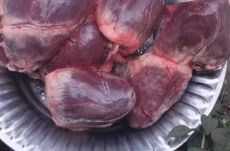 [🆕🇻🇳] Ngọc Điểm Food-chuyên cung cấp các loại thực phẩm: thịt heo, thịt bò, thịt gà, cá, tôm 🍔 Top1Food  🍜 Tim heo
Sỉ 55k/kg
, shares-0✔️ , likes-0❤️️ , date-2025-04-15 22:06:51🇻🇳🇻🇳🇻🇳📰🆕