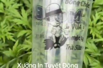 [🆕🇻🇳] Xưởng in cốc Tuyết Đông – Cung cấp ly, cốc giấy, kraft, nhựa cao cấp, nhận in logo cốc theo yêu cầu 🎨 Top1Designs ✨   , shares-0✔️ , likes-0❤️️ , date-2025-04-26 22:11:50🇻🇳🇻🇳🇻🇳📰🆕