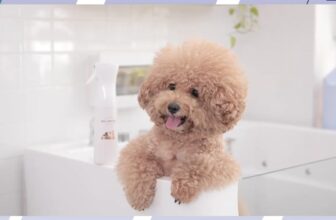 [🆕🇻🇳] Happy Pet Mart – Siêu Thị Đồ Thú Cưng 🐶🦜 Top1Pets 🐱🐠  , shares-1✔️ , likes-16❤️️ , date-2025-04-13 21:25:39🐶🐱🇻🇳🇻🇳🇻🇳📰🆕