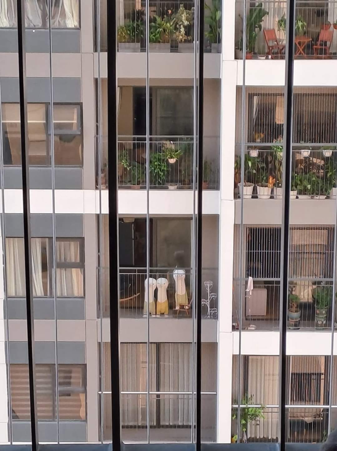 [🆕🇻🇳]  DUDU KIDS – Chuyên bán sỉ, lẻ đồ chơi, quà tặng, thời trang cao cấp cho trẻ 🧑‍🧒❤️️👶⭐️  Hàng xóm đối diện nhà thân thiện dễ mến, biết trông nhà hộ. Ko ồn ào, ko kêu inh ỏi mất trật tự.
Xứng đáng được rinh 1-2 bé về, lô này có bánh xe em sắn đ , shares-0✔️ , likes-0❤️️ , date-2024-08-03 01:51:55🇻🇳🇻🇳🇻🇳📰🆕