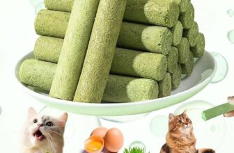 [🆕🇻🇳] HuMi Pet  (Siêu Thị Thú Cưng) 🐶🦜 Top1Pets 🐱🐠 Các loại cỏ mèo phục vụ Boss
Cỏ Mèo Tiêu búi lông cho mèo có sức hấp dẫn khó cưỡng đối với mèo, giúp chúng giải tỏa căng thẳng và luôn vui vẻ, năng động.
, shares-0✔️ , likes-1❤️️ , date-2025-04-23 23:06:44🐶🐱🇻🇳🇻🇳🇻🇳📰🆕