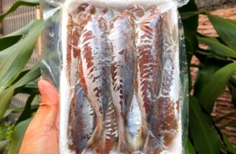 [🆕🇻🇳] Thực Phẩm SG Online – Chuyên cung cấp sỉ lẻ các loại thực phẩm như: cá, thịt, tôm, mực 🍔 Top1Food  🍜  Cá nục nhỏ 1 nắng chỉ 46k/khay 500gr (10-13 con)
Khi bạn đã chán ngấy với những món ăn được làm từ thịt thì cá nục một nắng là lựa chọn tốt nhất cho bữa  , shares-0✔️ , likes-0❤️️ , date-2025-05-05 15:25:13🇻🇳🇻🇳🇻🇳📰🆕