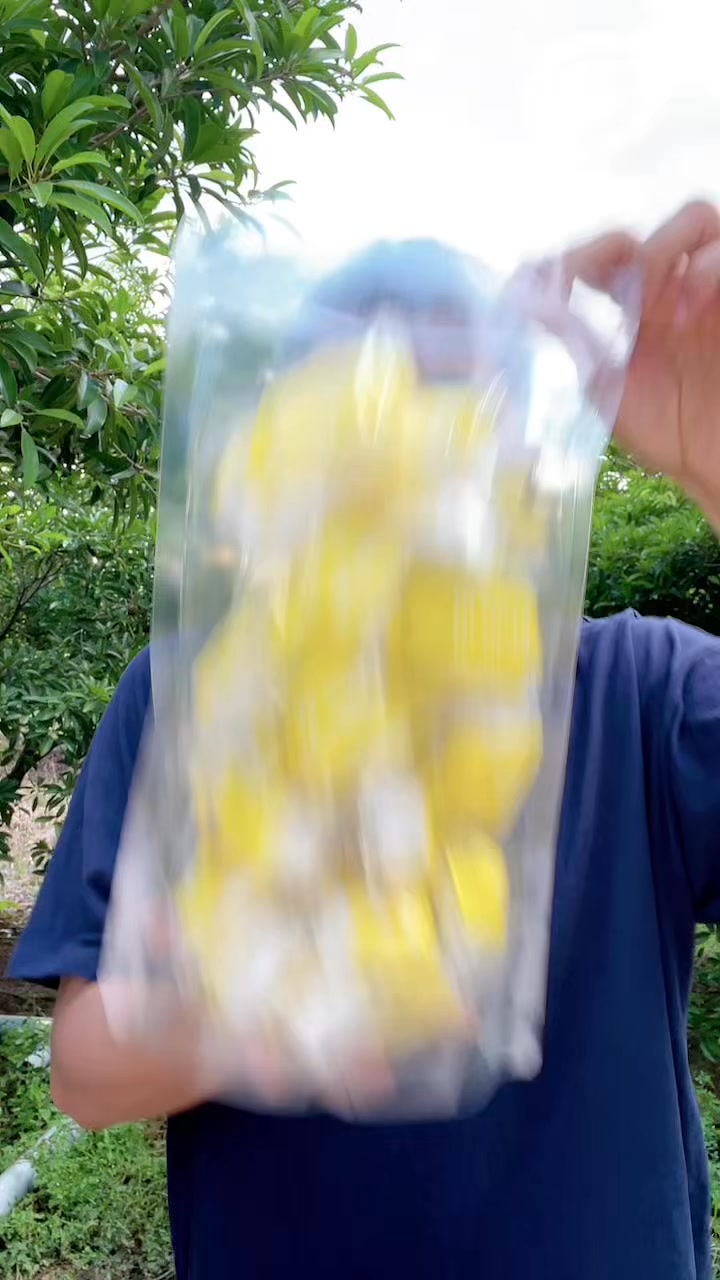 [🆕🇻🇳] Hữu Tài Cake – Bánh In Nhân Dừa Non 🍔 Top1Food  🍜 Túi bánh in 600g  Hữu Tài Cake , shares-0✔️ , likes-0❤️️ , date-2025-05-08 22:57:17🇻🇳🇻🇳🇻🇳📰🆕