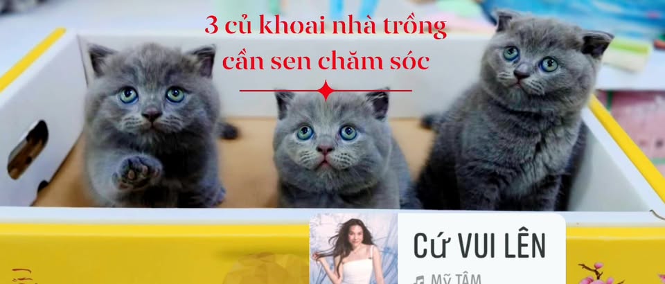 [🆕🇻🇳] Pet Time Vietnam – Dịch vụ spa, hotel và phụ kiện cho chó mèo 🐶🦜 Top1Pets 🐱🐠 Hạt LuvCare Small Dưỡng Lông Da Cho Chó Giống NhỏSẢN PHẨM THỨC ĂN CHO CÚN  CÓ CHỨA 𝐓𝐑𝐈𝐏𝐋𝐄 𝐎𝐌𝐄𝐆𝐀
LuvCare tự hào là sản phẩm tiên phong tại thị trường Vi , shares-0✔️ , likes-0❤️️ , date-2025-05-28 03:00:08🐶🐱🇻🇳🇻🇳🇻🇳📰🆕