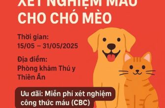[🆕🇻🇳] Phòng khám thú y Thiên Ân 🐶🦜 Top1Pets 🐱🐠  MIỄN PHÍ XÉT NGHIỆM MÁU CHO CHÓ MÈO – CHỈ CÓ TẠI PHÒNG KHÁM THÚ Y THIÊN ÂN!
Bạn muốn kiểm tra sức khỏe thú cưng nhanh – chính xác – không tốn phí? Đừng bỏ , shares-0✔️ , likes-0❤️️ , date-2025-05-14 18:55:09🐶🐱🇻🇳🇻🇳🇻🇳📰🆕