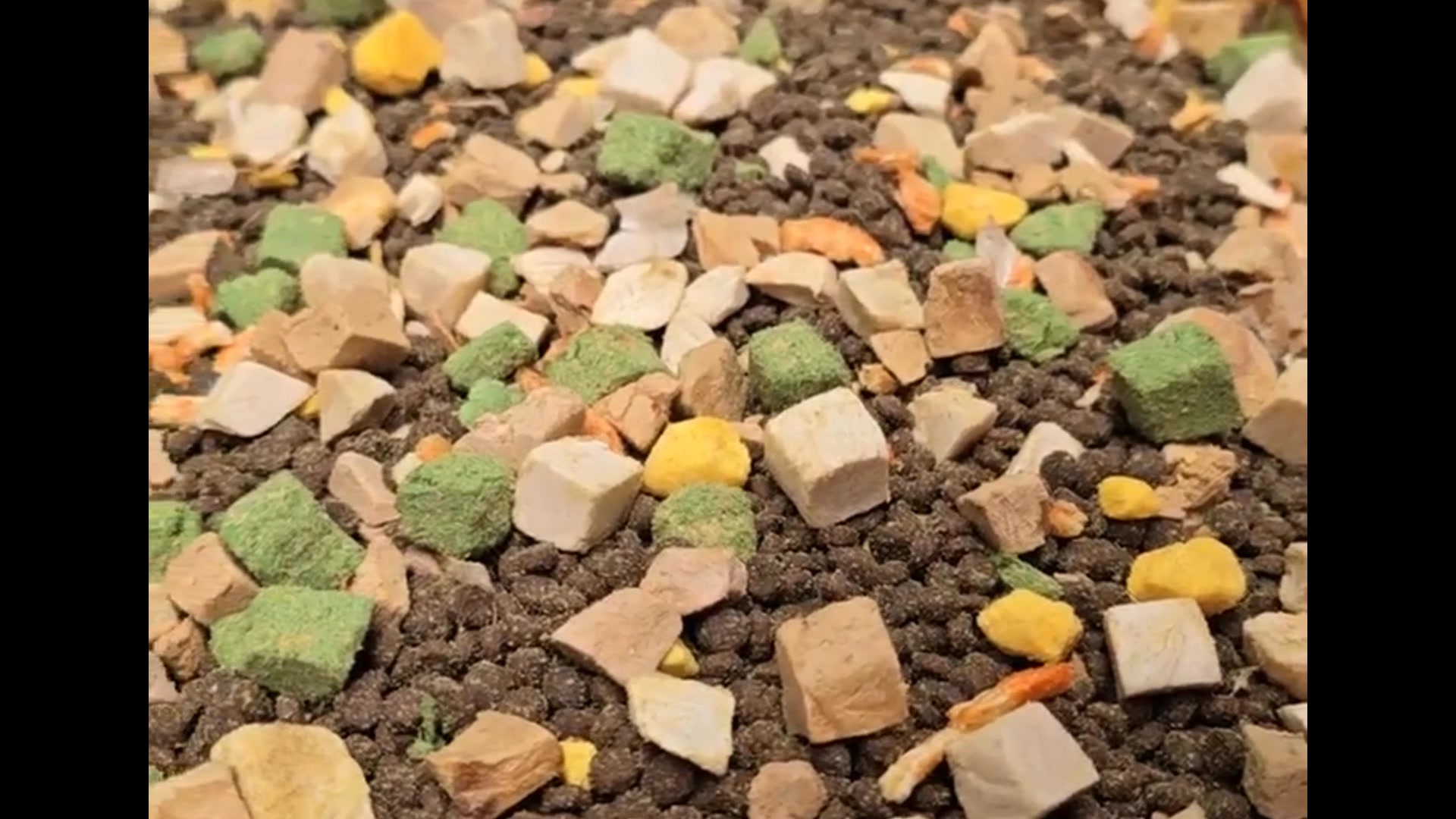 [🆕🇻🇳] Thức ăn Thú Cưng – Gold Vets 🐶🦜 Top1Pets 🐱🐠  , shares-0✔️ , likes-34❤️️ , date-2025-05-21 16:55:07🐶🐱🇻🇳🇻🇳🇻🇳📰🆕