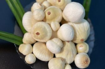 [🆕🇻🇳] Mộng Dừa – Chuyên Sỉ & Lẻ – Modubet Food – Ăn vặt Healthy – Món lạ món ngon- Chuyên Phân phối cung cấp Mộng dừa Bến Tre SLL 🍔 Top1Food  🍜 .
, shares-0✔️ , likes-0❤️️ , date-2025-06-11 01:49:39🇻🇳🇻🇳🇻🇳📰🆕