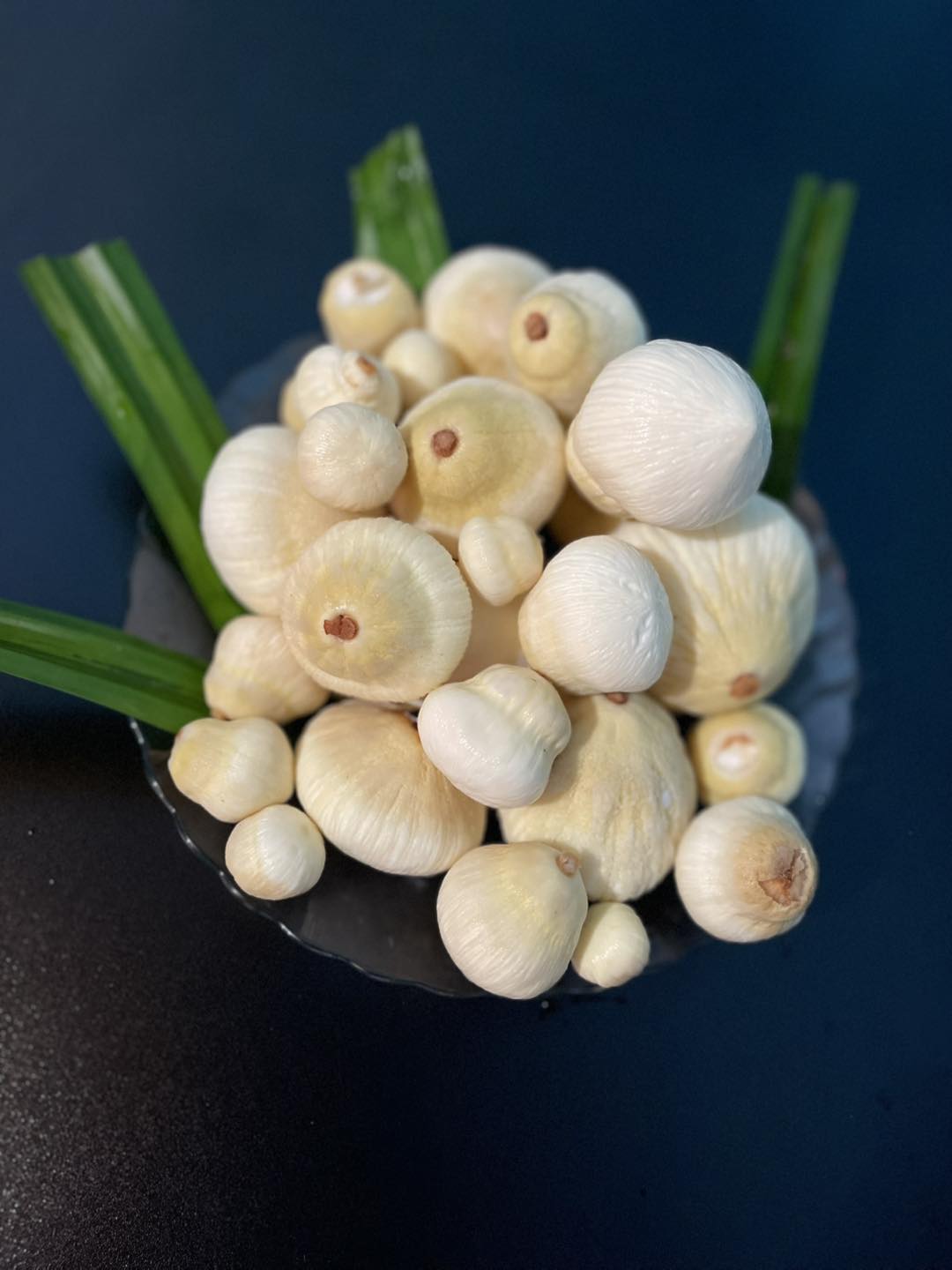 [🆕🇻🇳] Mộng Dừa – Chuyên Sỉ & Lẻ – Modubet Food – Ăn vặt Healthy – Món lạ món ngon- Chuyên Phân phối cung cấp Mộng dừa Bến Tre SLL 🍔 Top1Food  🍜 .
 , shares-0✔️ , likes-0❤️️ , date-2025-06-11 01:49:39🇻🇳🇻🇳🇻🇳📰🆕