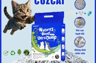 🐶🦜 Top1Pets 🐱🐠 Cát Đậu Nành Cuzcat Blend Tofu Mix, Sự kết hợp đỉnh cao từ thiên nhiên và công nghệ hiện đại!
70% đậu nành nguyên chất – Dịu nhẹ, an toàn cho mèo, thân , shares-1✔️ , likes-4❤️️ , date-2025-06-11 23:21:28🐶🐱🇻🇳🇻🇳🇻🇳📰🆕