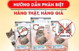 [🆕🇻🇳] Thú Cưng SG – All For Your Pet 🐶🦜 Top1Pets 🐱🐠 Pate tươi The Pet. Giải pháp ngăn ngừa sốc nhiệt cho cún mèo mua nắng nóng. #ThePet , shares-0✔️ , likes-0❤️️ , date-2025-06-15 03:35:07🐶🐱🇻🇳🇻🇳🇻🇳📰🆕