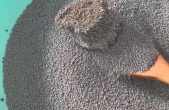 [🆕🇻🇳] Minh Châu pet 🐶🦜 Top1Pets 🐱🐠  SIÊU VÓN CỤC – KHỬ MÙI CỰC ĐỈNH!
CÁT VỆ SINH MÈO – MINH CHÂU PET
Chuyên sỉ & lẻ toàn quốc – Giá siêu ưu đãi!Thành phần từ đất sét tự nhiên – an toàn , shares-0✔️ , likes-11❤️️ , date-2025-06-17 05:03:07🐶🐱🇻🇳🇻🇳🇻🇳📰🆕