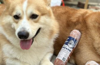 [🆕🇻🇳] Nhà Sen – Thực Phẩm Thú Cưng 🐶🦜 Top1Pets 🐱🐠 Rawfood cùng em ạ
, shares-0✔️ , likes-0❤️️ , date-2025-06-18 02:49:04🐶🐱🇻🇳🇻🇳🇻🇳📰🆕