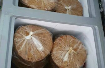 [🆕🇻🇳] Chả Cá Nha Trang sỉ lẻ sll 🍔 Top1Food  🍜 Mến mời cả nhà
Zalo 093738 2489
, shares-0✔️ , likes-6❤️️ , date-2025-06-20 00:11:33🇻🇳🇻🇳🇻🇳📰🆕