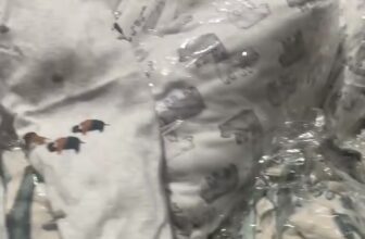 [🆕🇻🇳] Xưởng may quần áo trẻ em xuất khẩu 🧑‍🧒❤️️👶⭐️  , shares-0✔️ , likes-0❤️️ , date-2025-06-26 19:04:42🇻🇳🇻🇳🇻🇳📰🆕