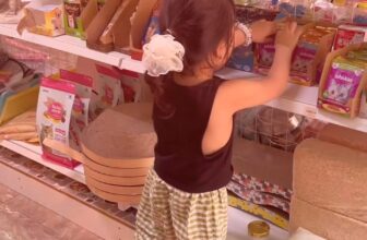 [🆕🇻🇳] ANI PET SHOP Center 🐶🦜 Top1Pets 🐱🐠 Flex một khối nghỉ hè đầu xù tóc rối mưu sinh kiếm sữa :)))) Cô chú gần xa ghé ủng hộ ANI PET SHOP Center để con có thu nhập uống sữa nha  , shares-0✔️ , likes-0❤️️ , date-2025-06-25 18:39:00🐶🐱🇻🇳🇻🇳🇻🇳📰🆕