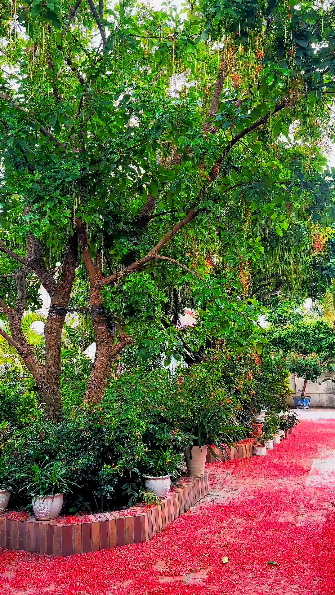 [🆕🇻🇳] Kho Buôn Lương Hiền 👕 Top1Fashion 👗  Hàng về liên tục ạ các shop ơi !!!
Hẹn mn 20h tối nay vào live săn sale cùng em nha
, shares-0✔️ , likes-6❤️️ , date-2025-07-06 00:58:25🇻🇳🇻🇳🇻🇳📰🆕